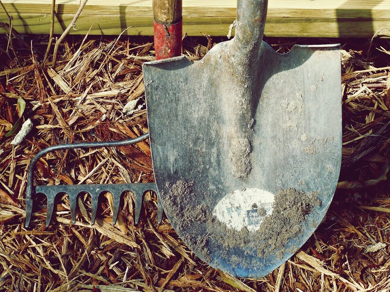 Garden Hoe